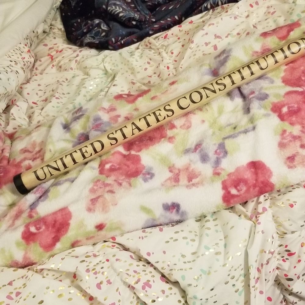 Nwt United states of constitution poster